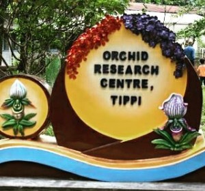 Sign board written orchid research center tippi