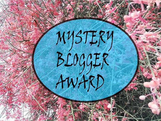 Image Mystery Blogger Award